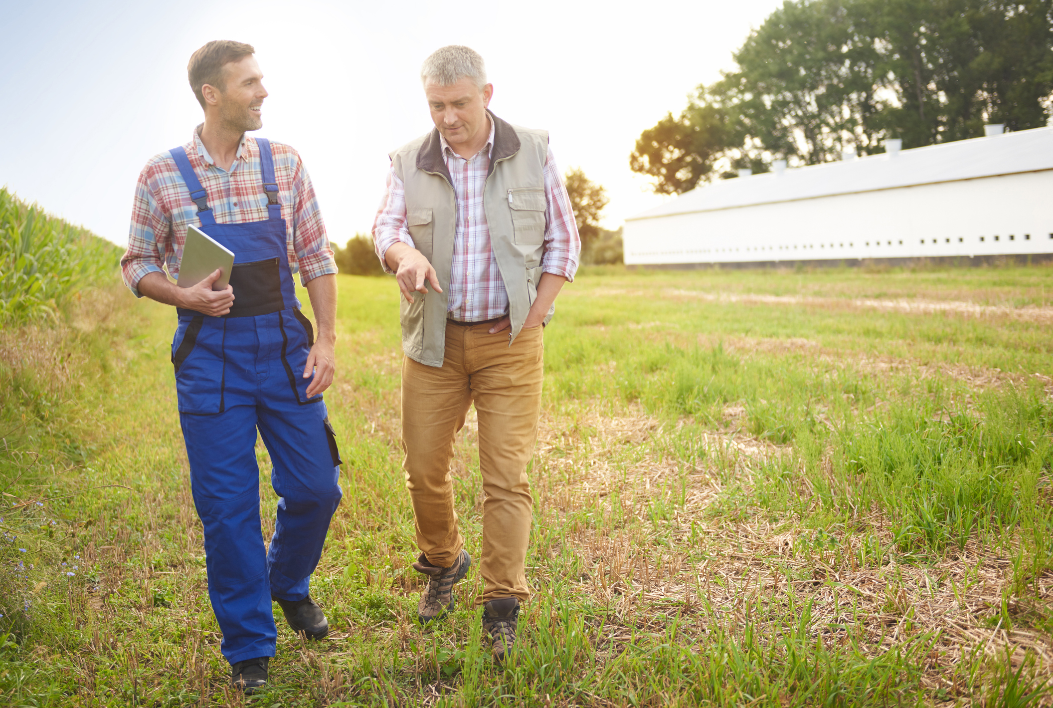 Experienced farmers