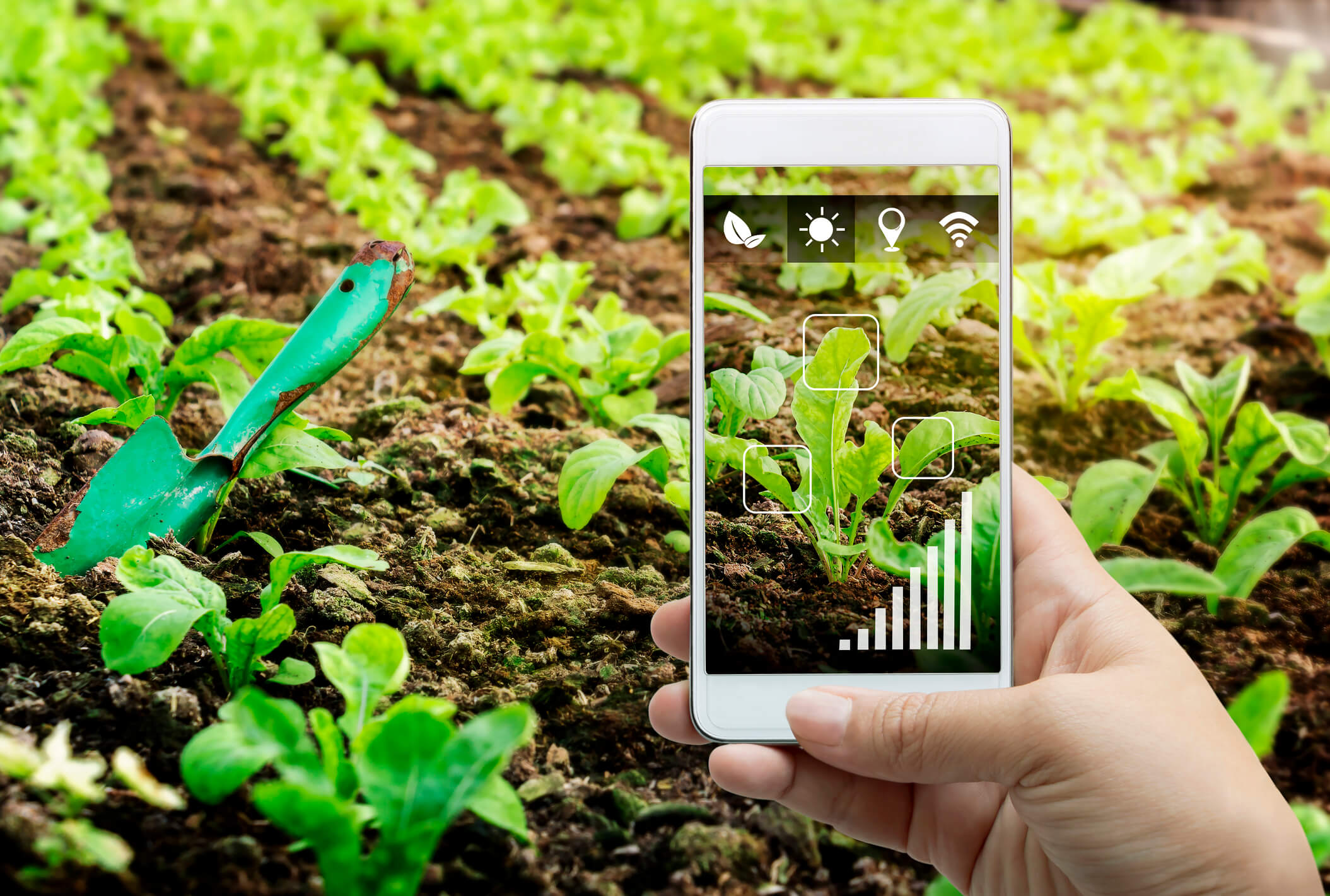 Agriculture Digital Marketing- Complete Controlle