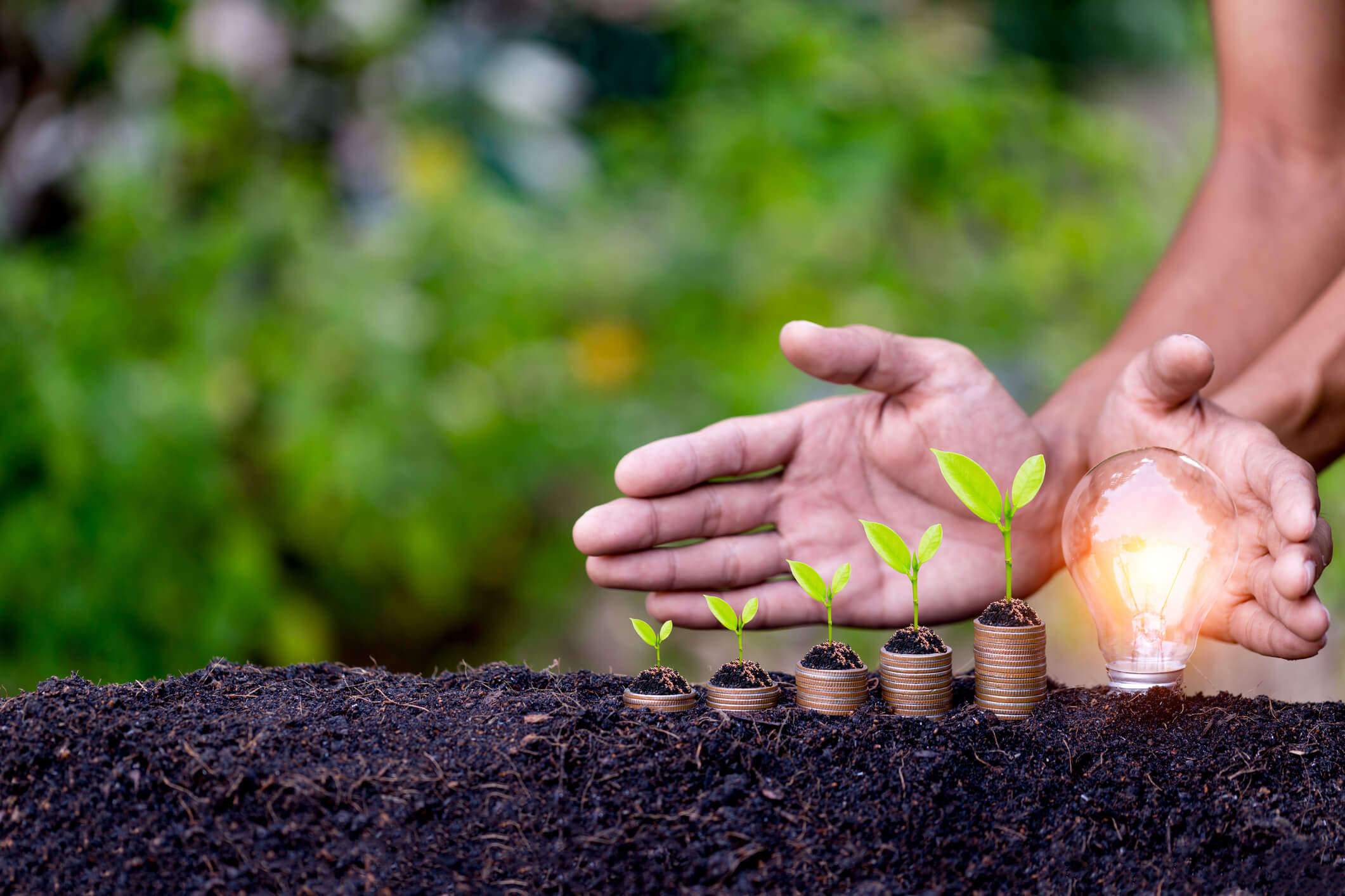 Agriculture Strategies for Income- Complete Controller.