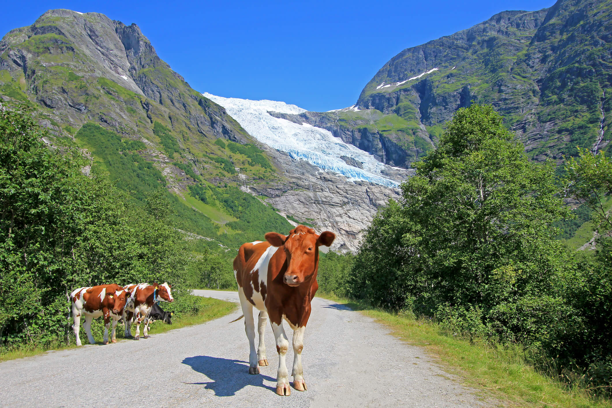 Agriculture and Its Role in Climate Change - Complete Controller