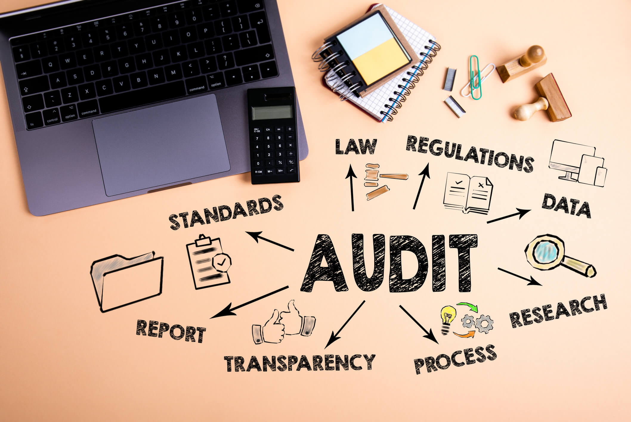 Audit Standards - Complete Controller