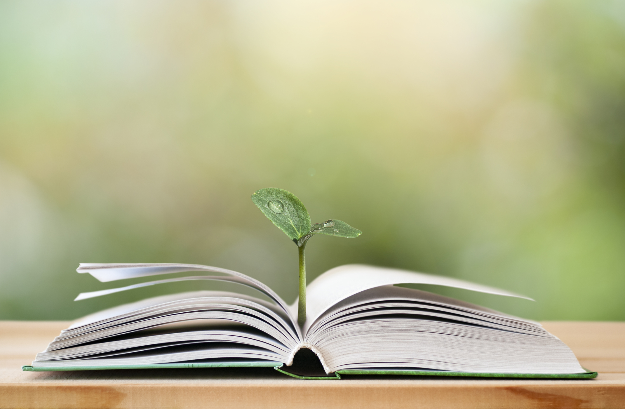 Books-to-Read-When-Investing-Complete-Controller