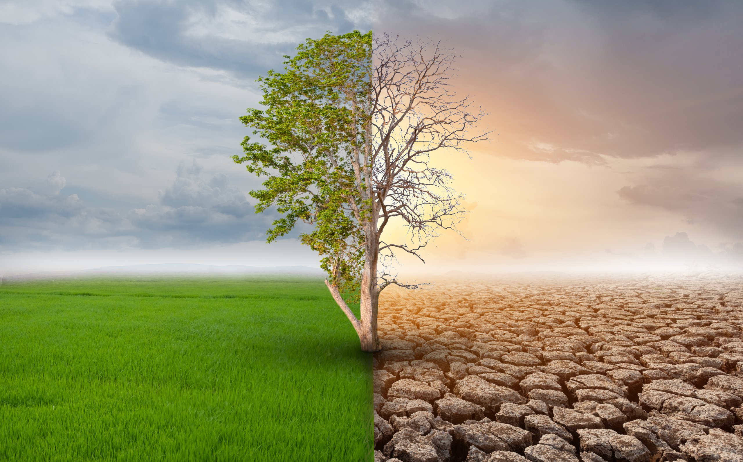 Climate Change and Your Business - Complete Controller
