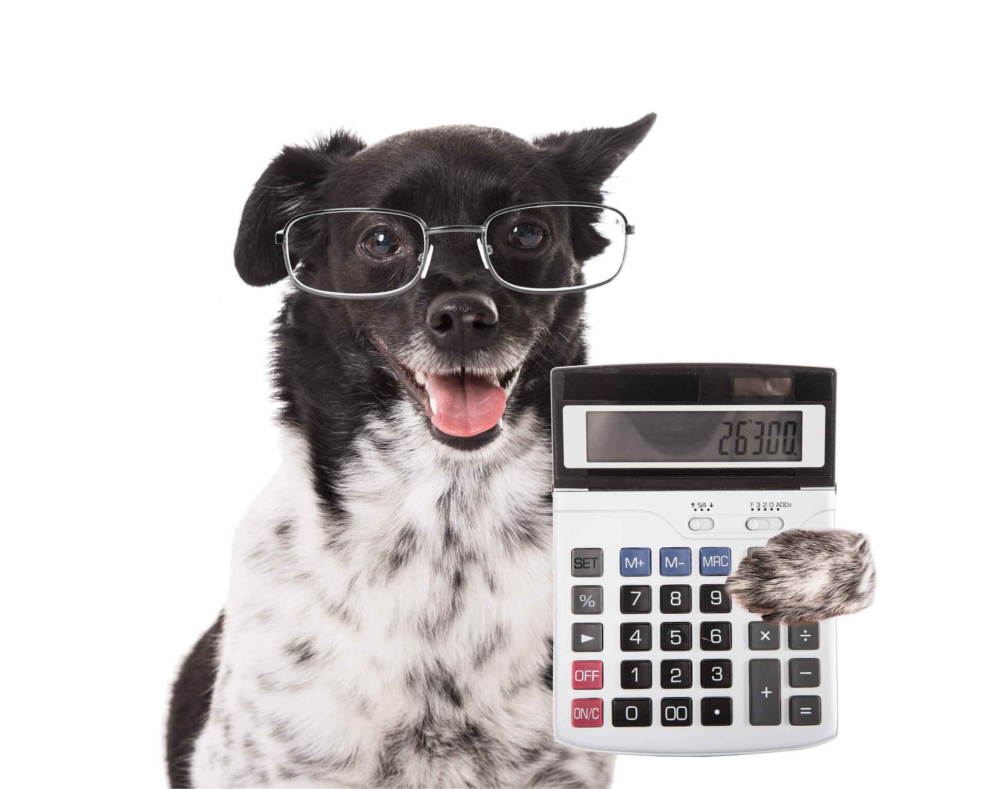 Compare The Finance Duo- Complete Controller