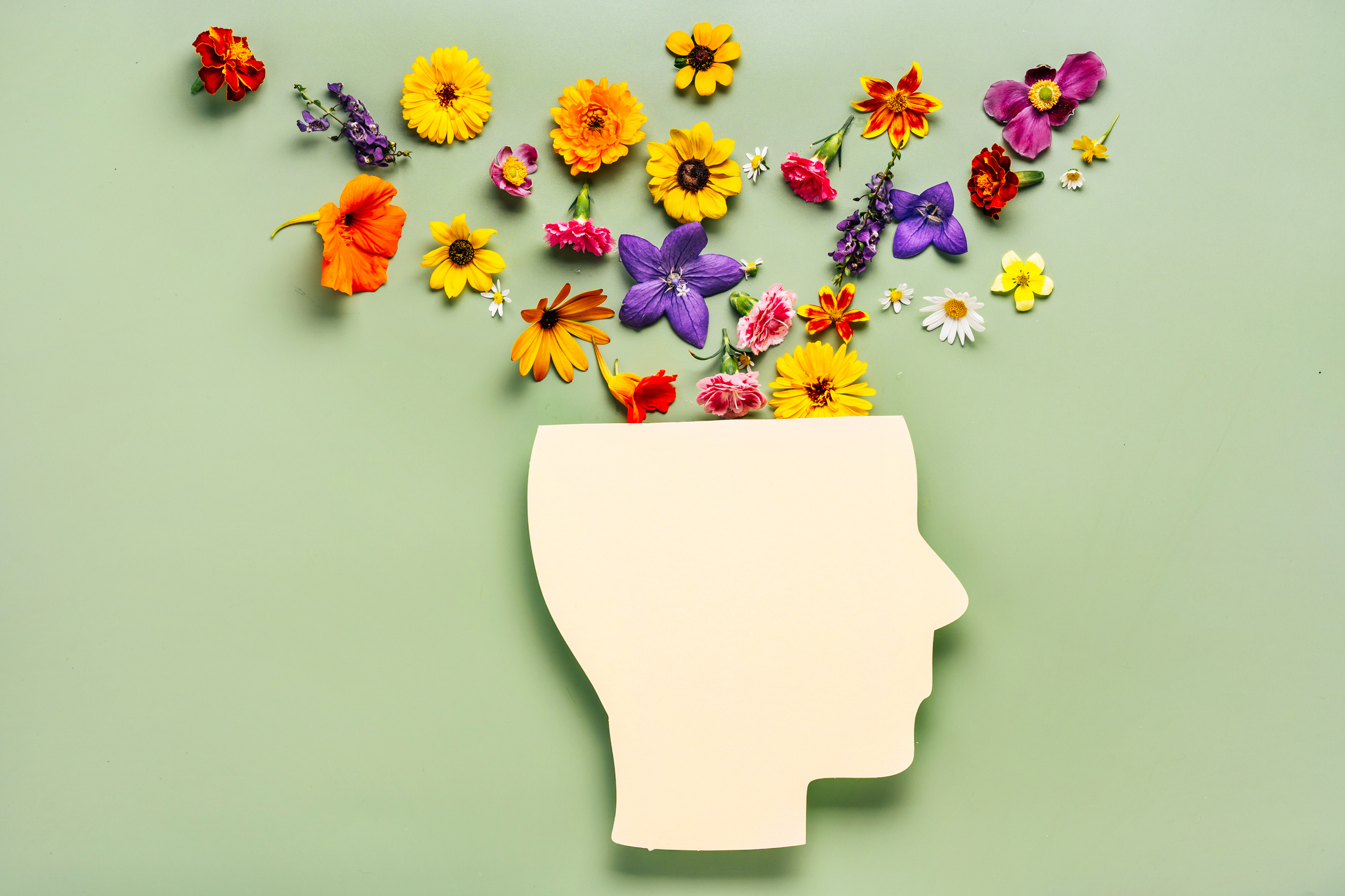 Cultivating Growth Mindset- Complete Controller