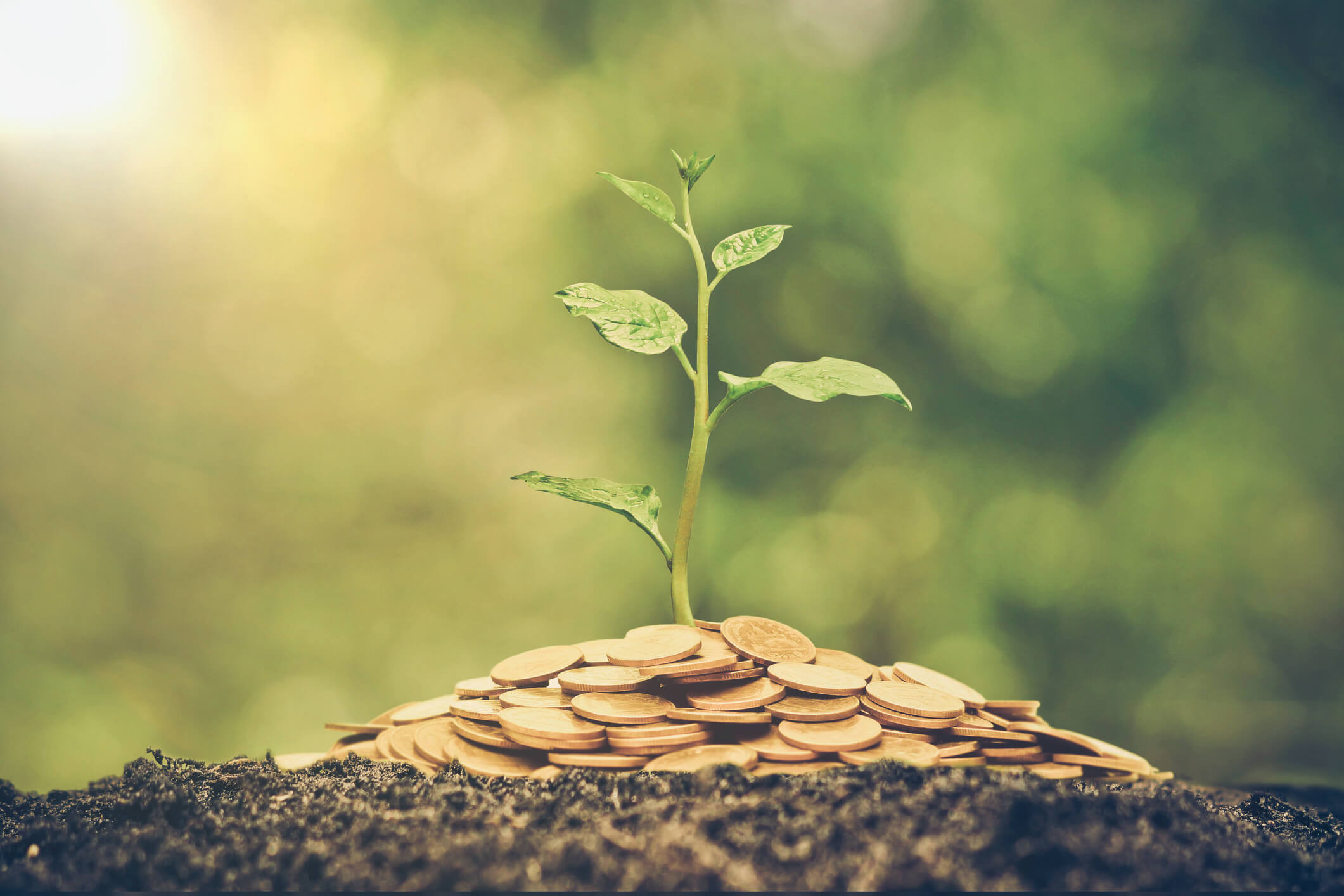 Cultivating Prosperity - Complete Controller
