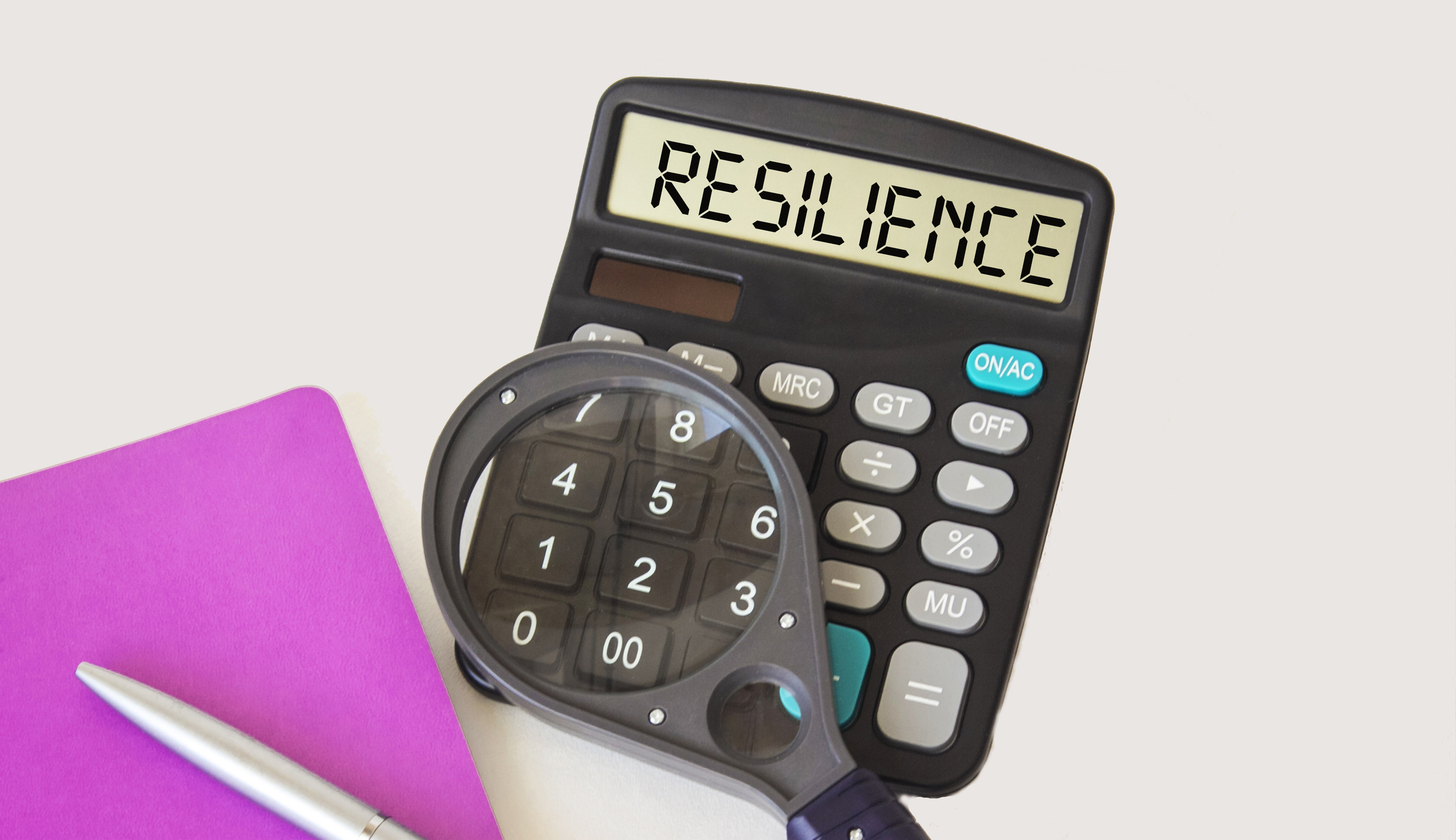 Developing Financial Resilience- Complete Controller