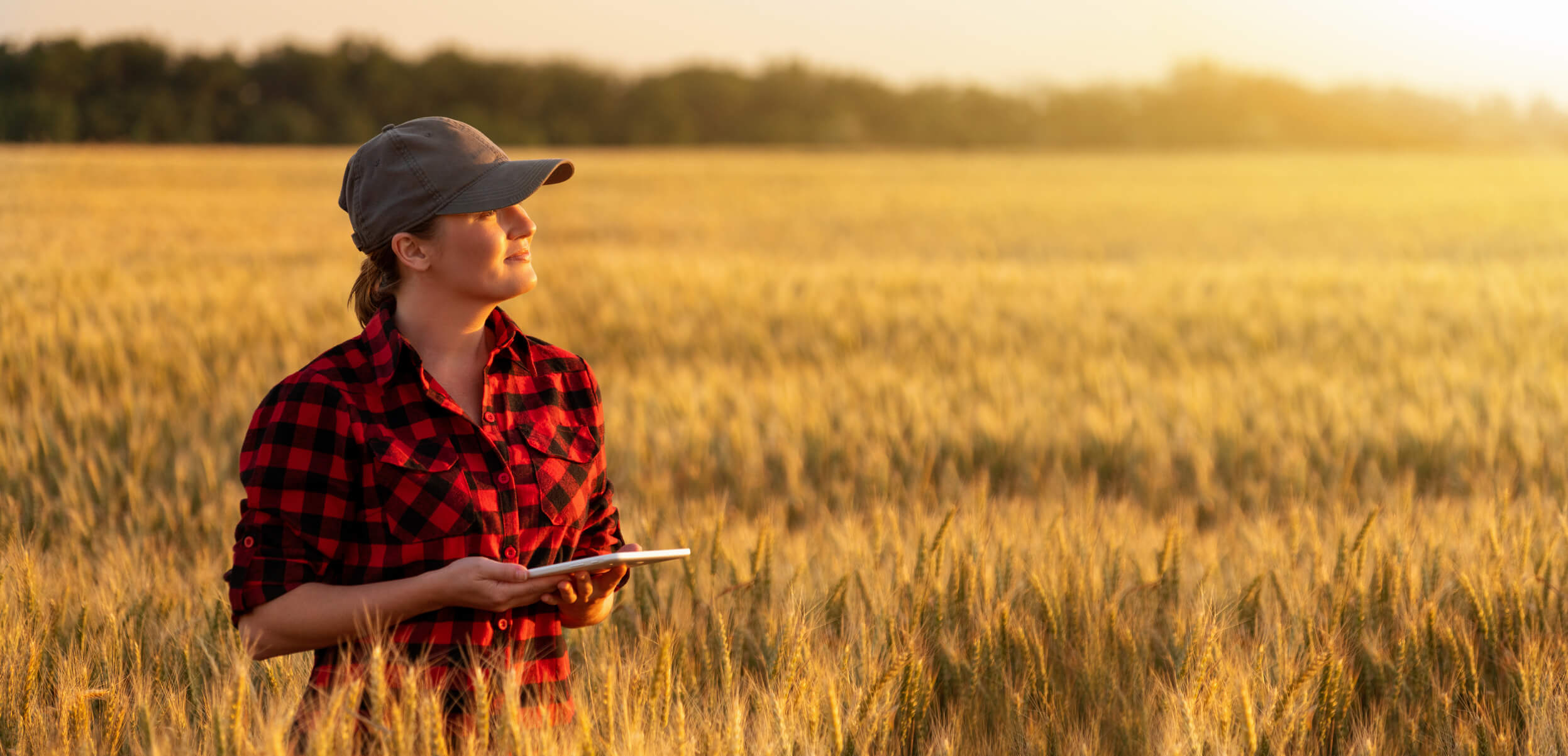 Improve Farm Management Productivity