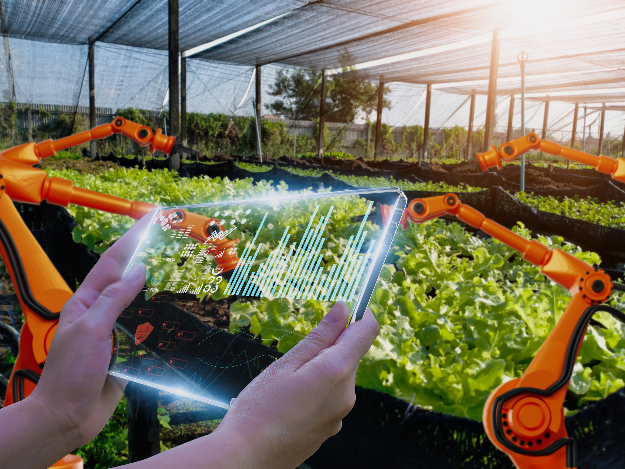 Food Business Innovations - Complete Controller