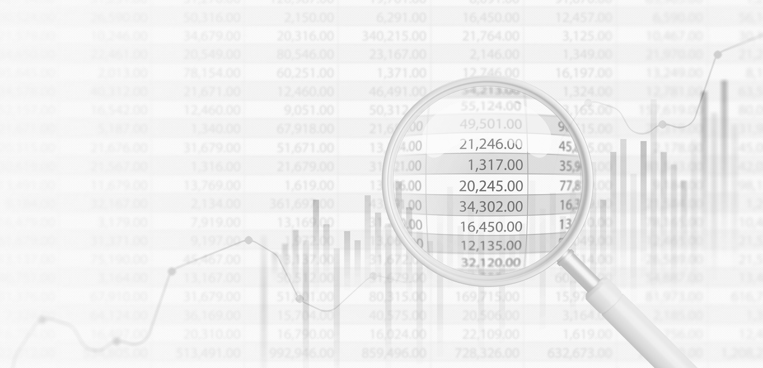 IRS Business Tax Audits - Complete Controller