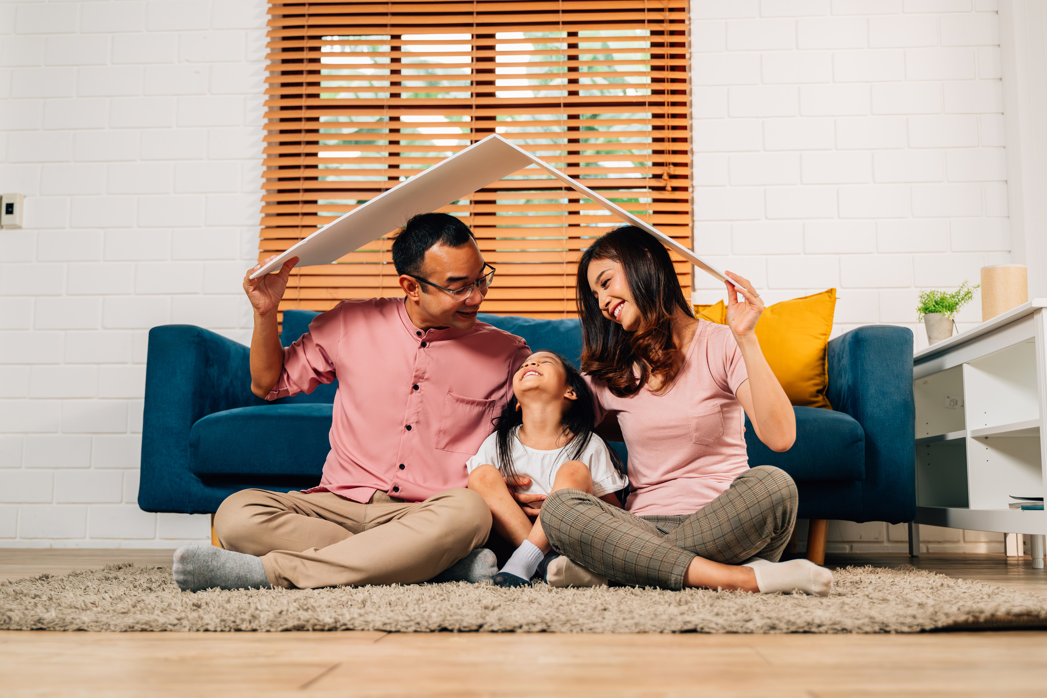 Insurance Dynamics Damage vs Personal- Complete Controller