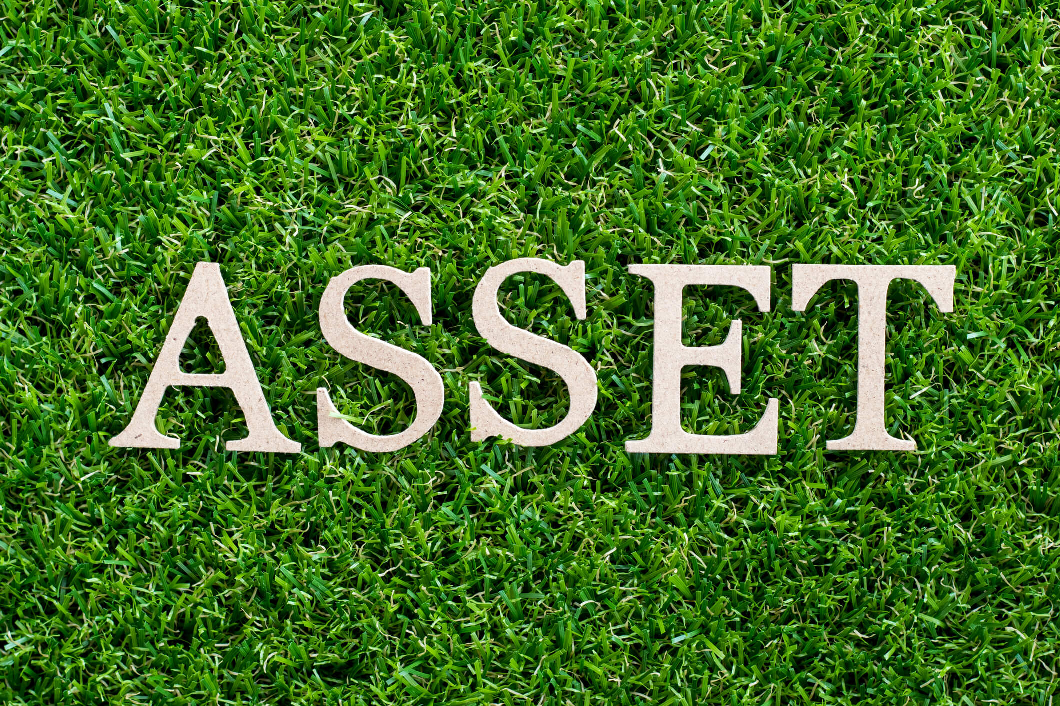 Intangible and Tangible Assets - Complete Controller