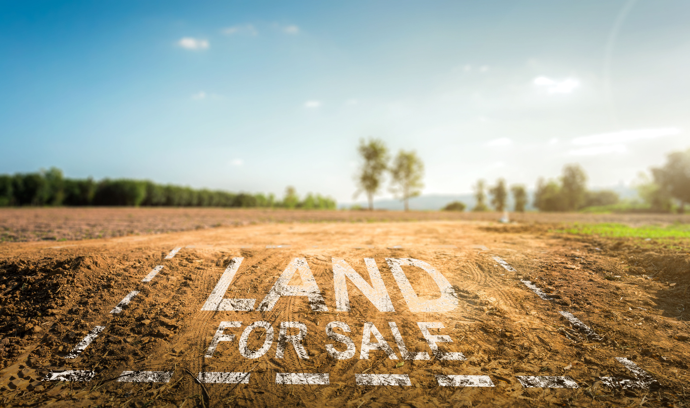 Land Loans Consortium vs Traditional- Complete Controller
