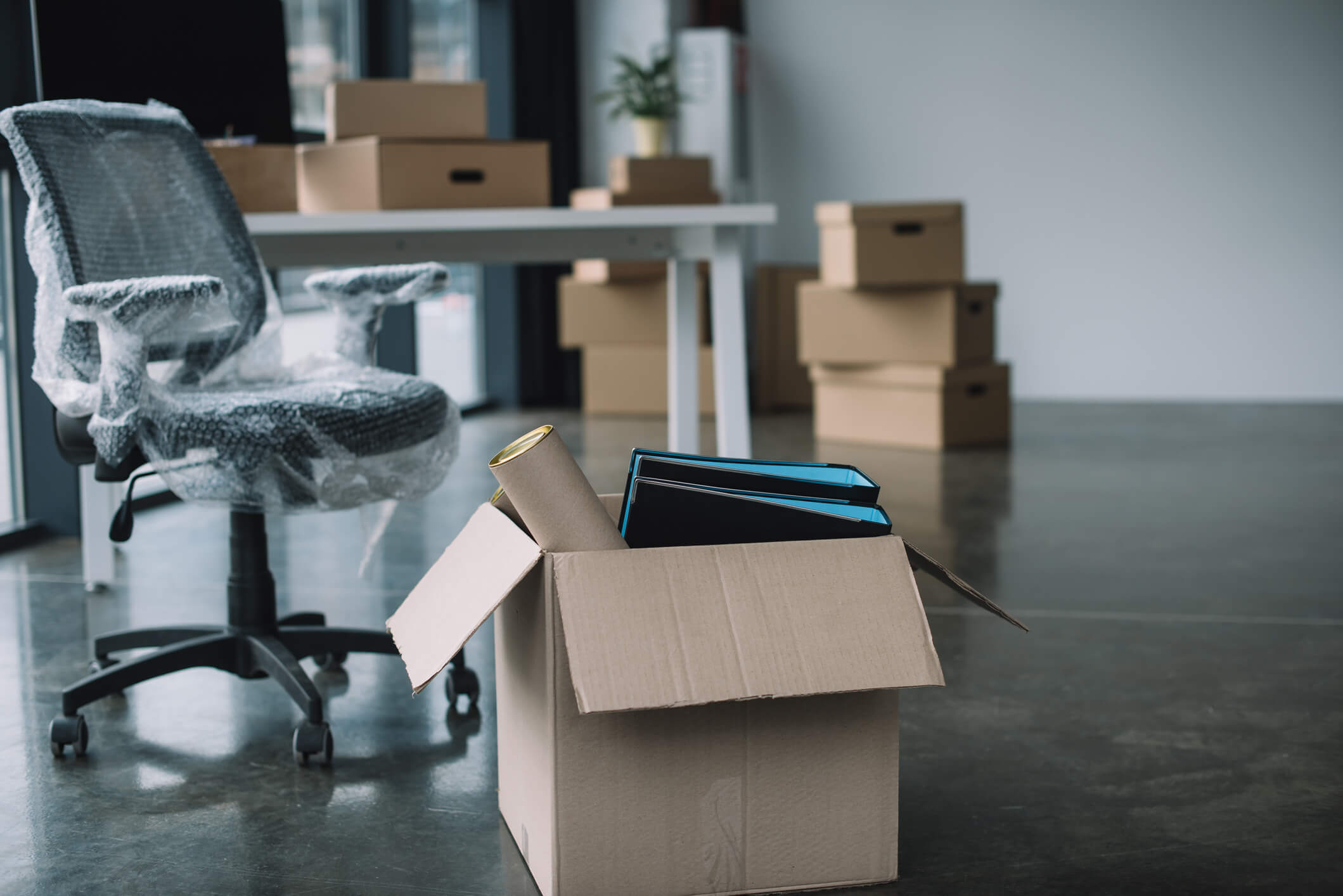 Move Your Business - Complete Controller