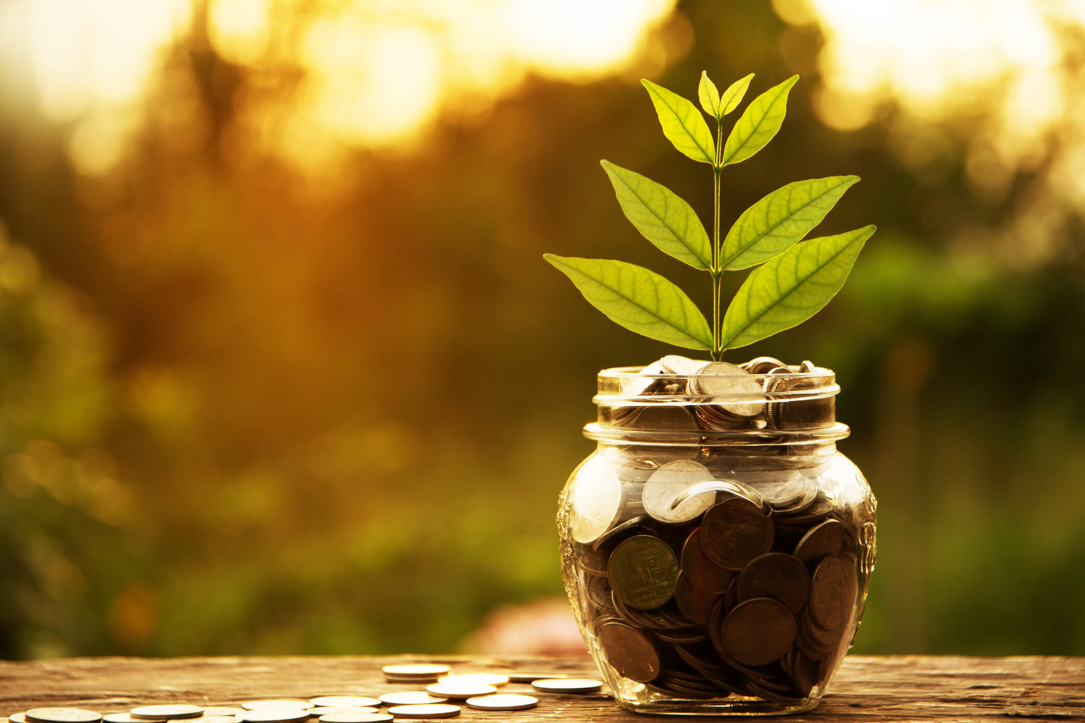 Open Your Business & Save Money-Complete Conrtoller