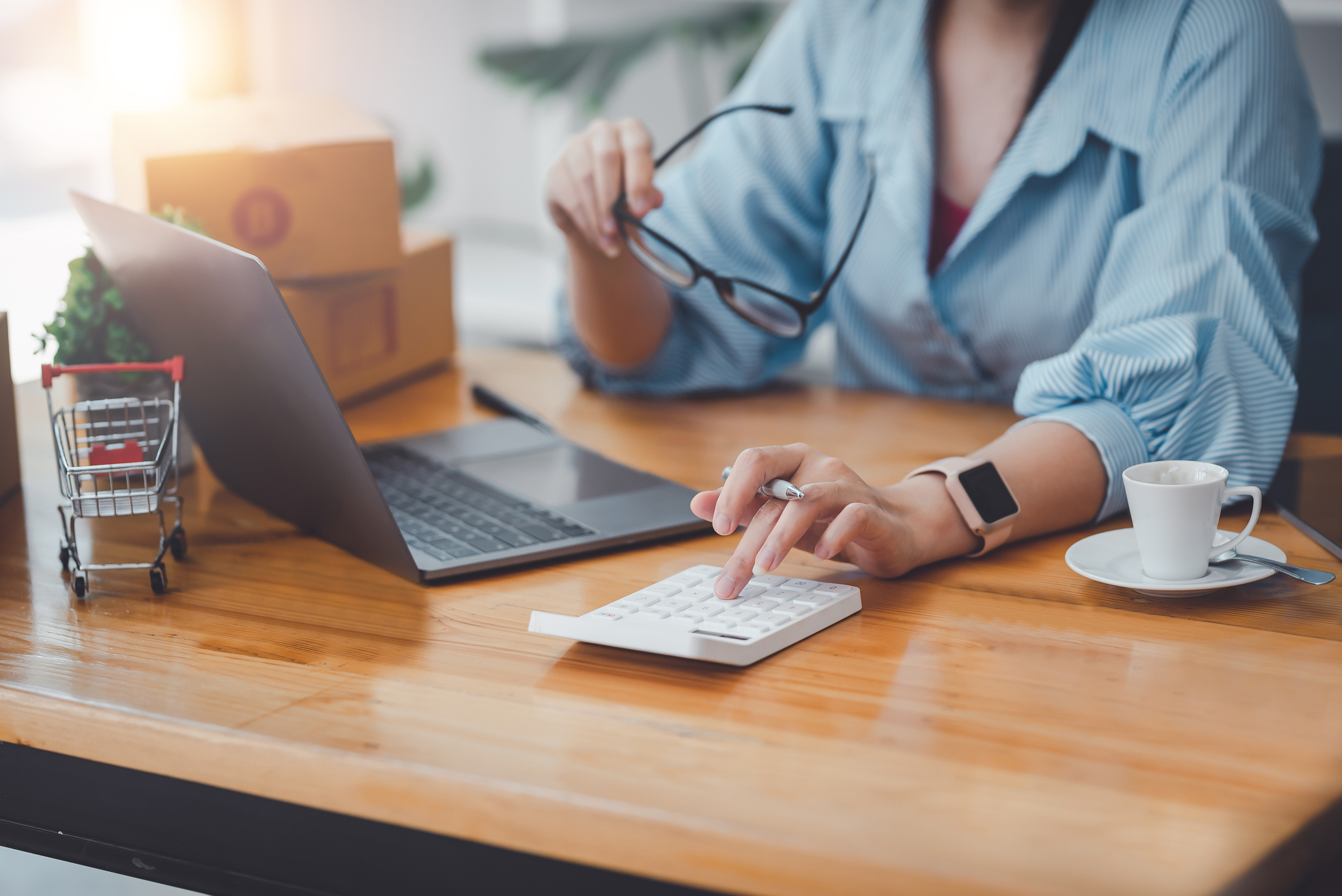 Payroll Tax Essentials for Owners- Complete Conrtoller