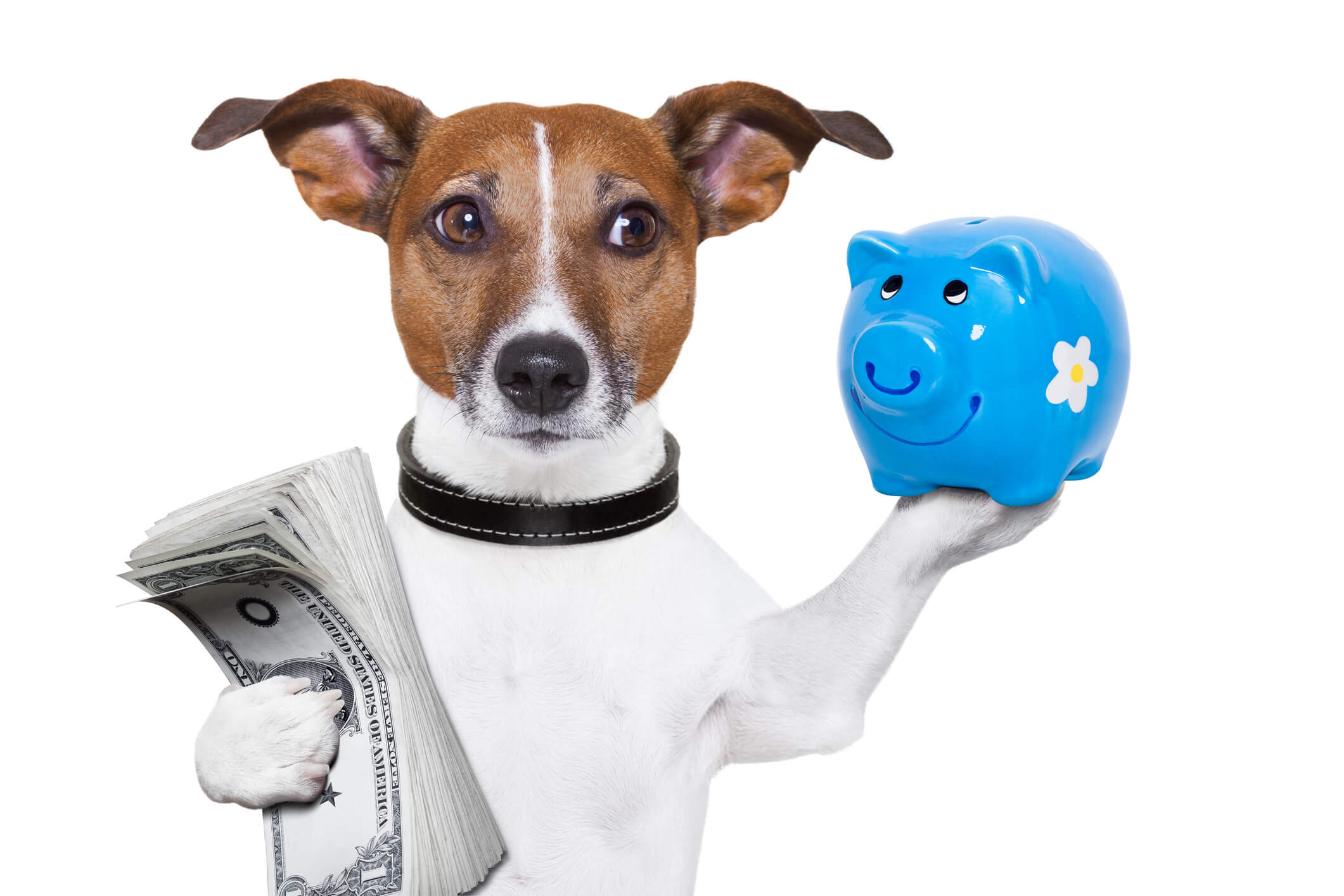 Separate Finances For Success- Complete Controller.