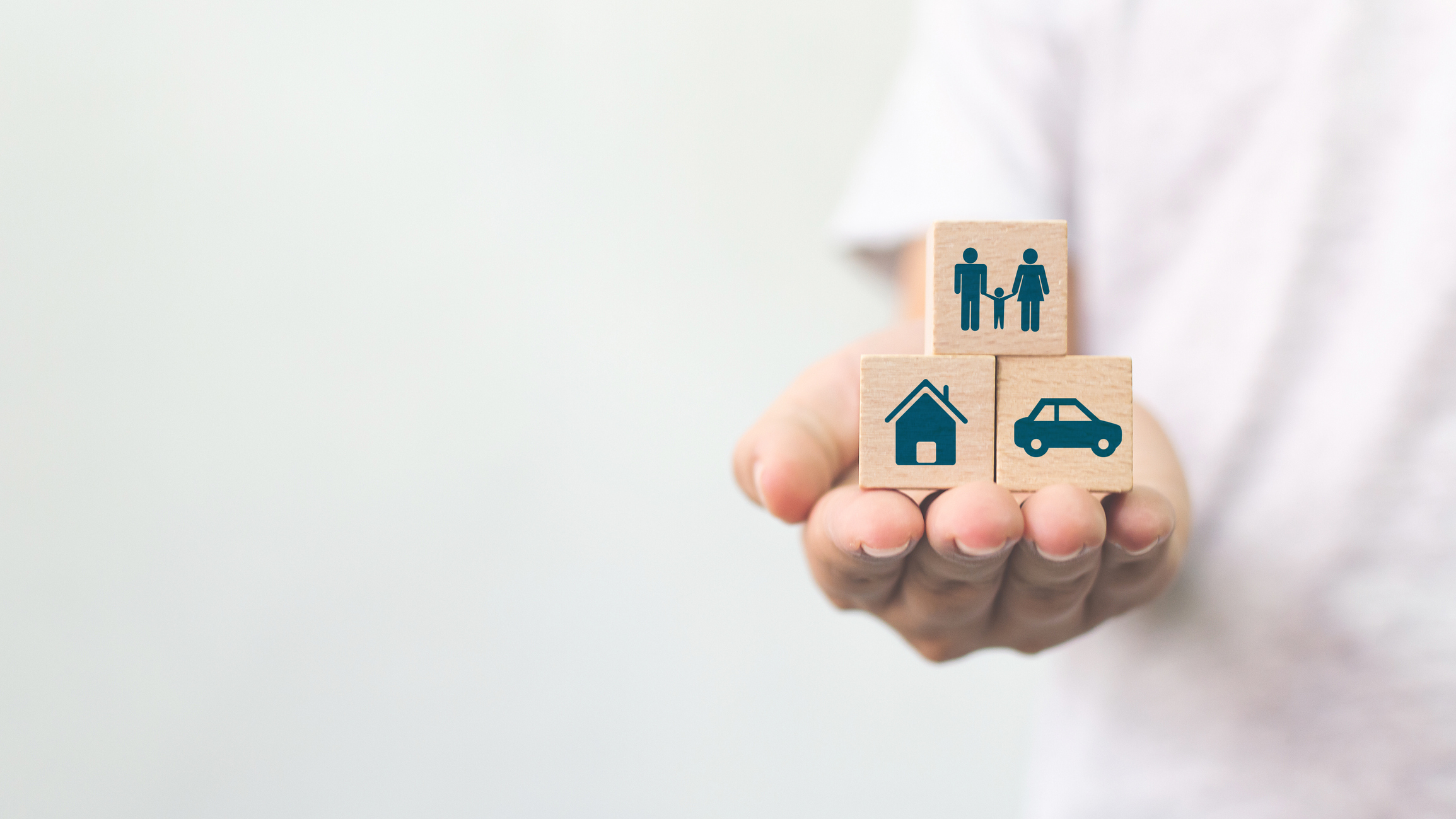 Simplified Insurance Easy Budgeting- Complete Controller