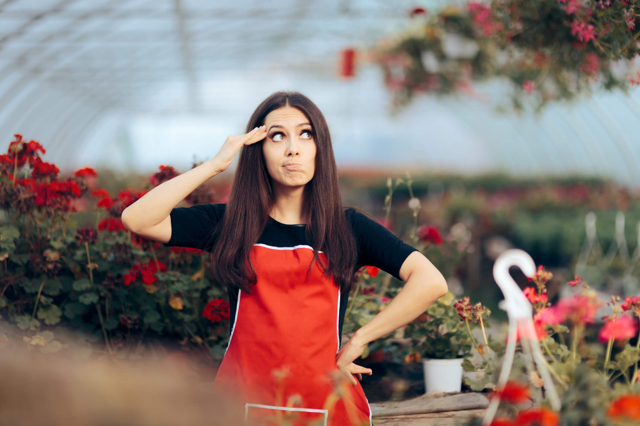 Small Businesses Fail to Grow - Complete Controller