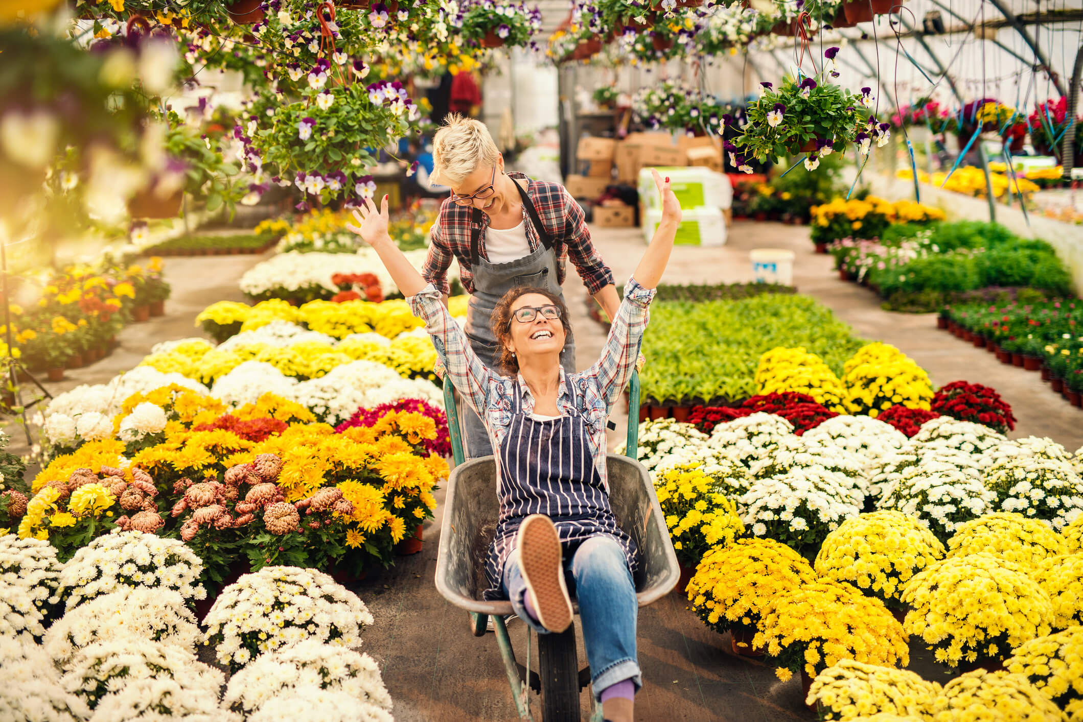 Small Businesses are Growing - Complete Controller