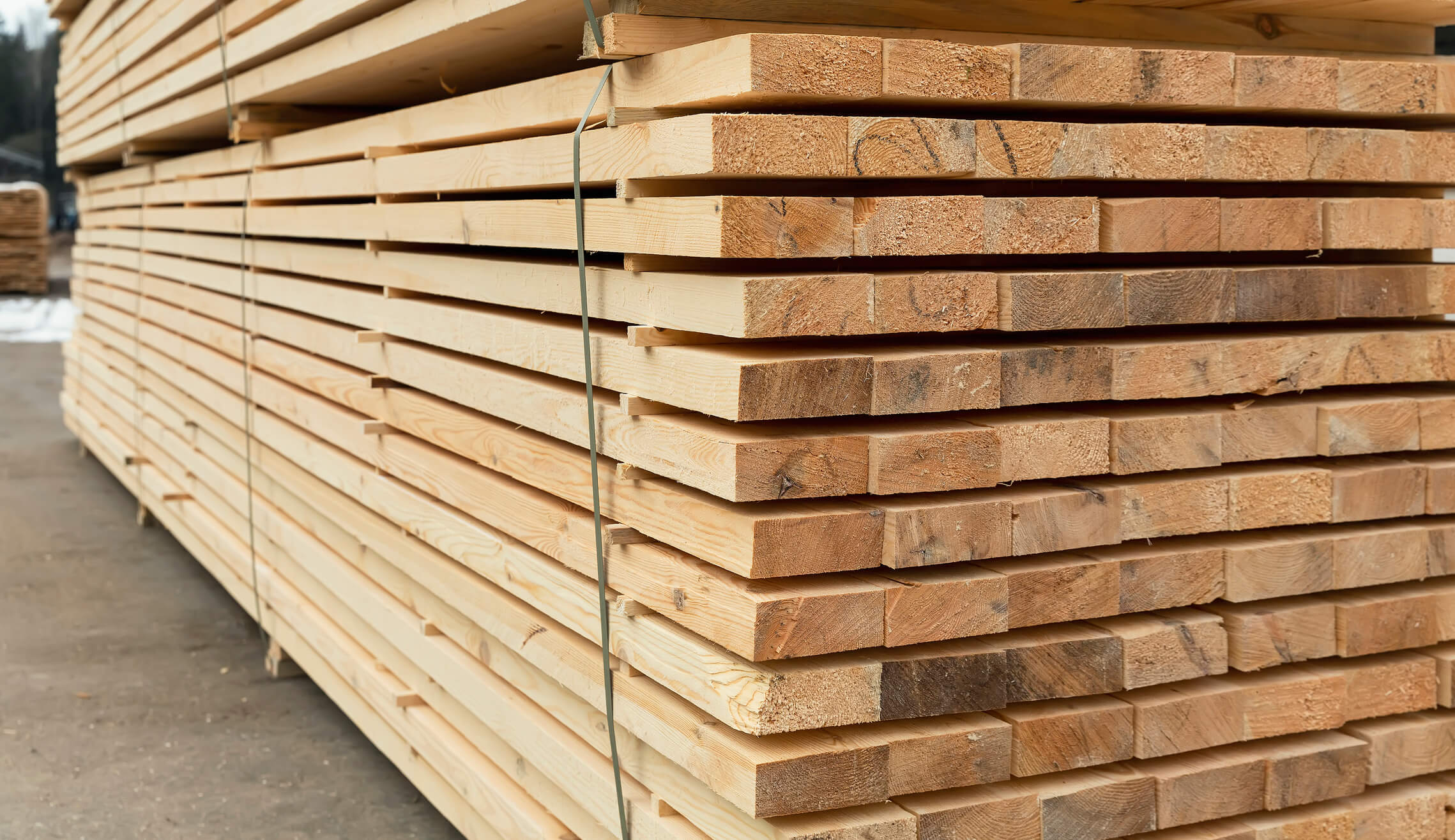 Timber Market - Complete Controller