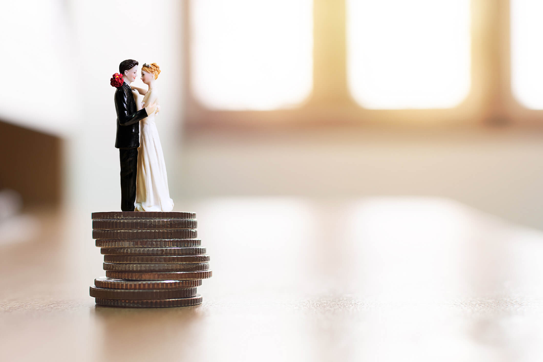 Wedding Finances and Budget - Complete Controller