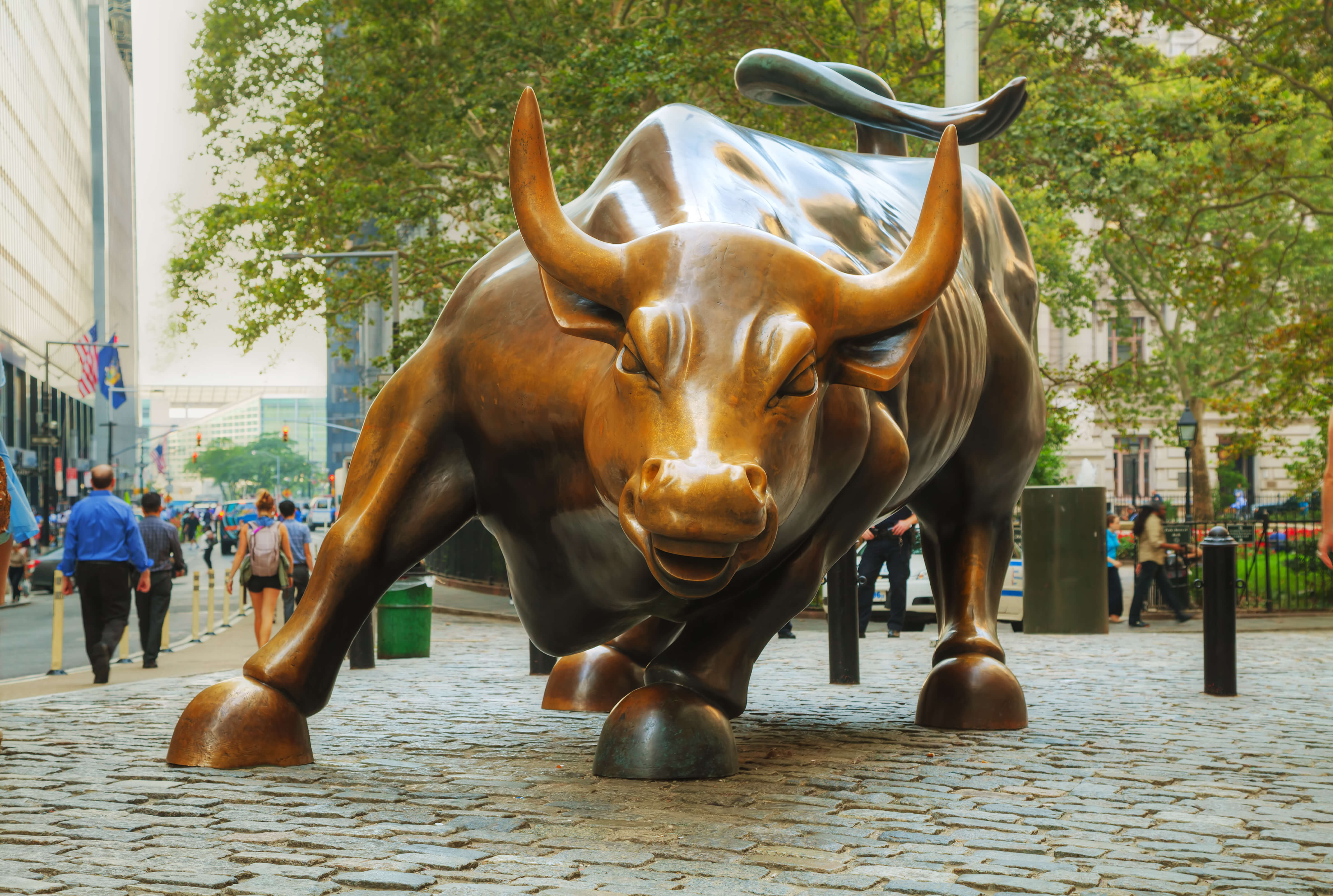 Charging Bull sculpture in New York City Complete Controller